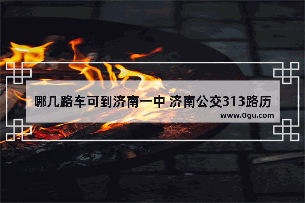 哪几路车可到济南一中 济南公交313路历史故事