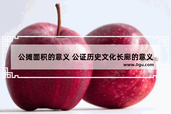 公摊面积的意义 公证历史文化长廊的意义