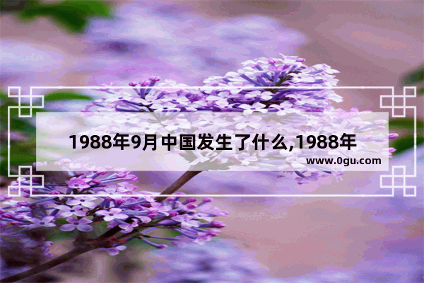 1988年9月中国发生了什么,1988年真实的中国历史