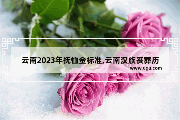 云南2023年抚恤金标准,云南汉族丧葬历史文化