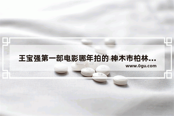 王宝强第一部电影哪年拍的 神木市柏林堡历史文化