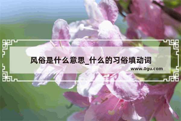 风俗是什么意思_什么的习俗填动词