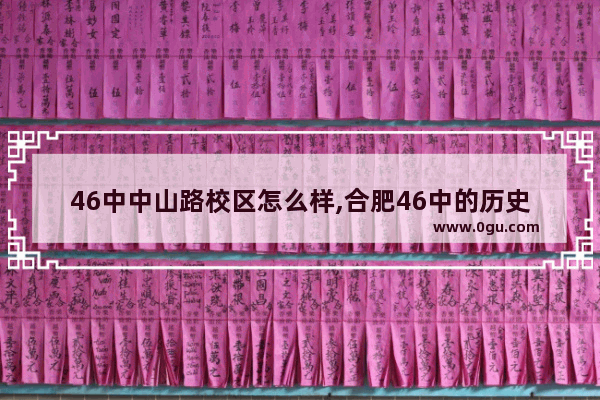 46中中山路校区怎么样,合肥46中的历史人物