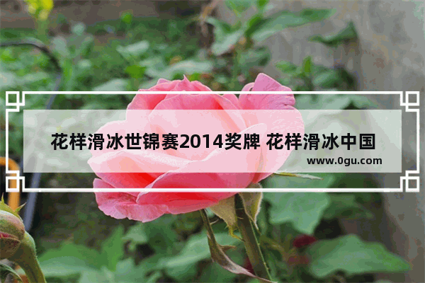 花样滑冰世锦赛2014奖牌 花样滑冰中国历史奖牌