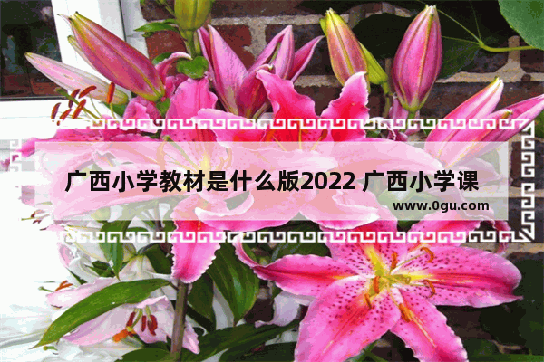 广西小学教材是什么版2022 广西小学课本的历史人物