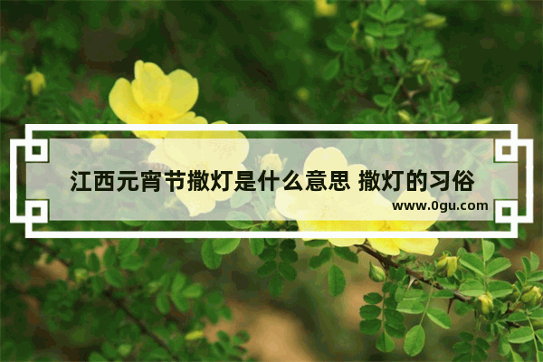 江西元宵节撒灯是什么意思 撒灯的习俗