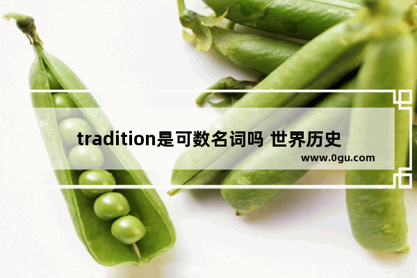 tradition是可数名词吗 世界历史名词英语怎么说