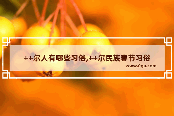 ++尔人有哪些习俗,++尔民族春节习俗