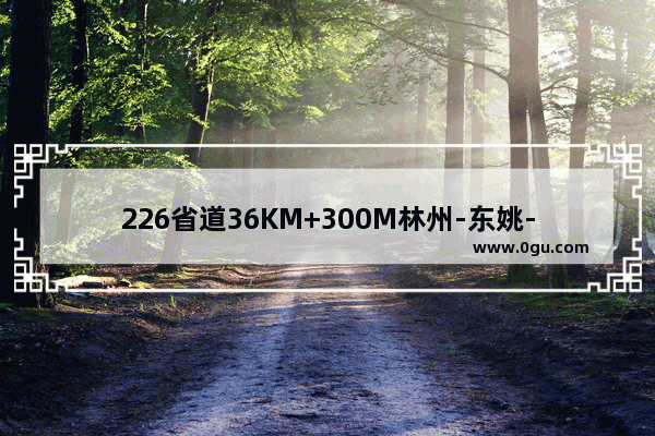 226省道36KM+300M林州-东姚-五龙-卫辉226省道36KM+300M具++置在什么地方 我在那都罚了N次了,林州五龙历史故事