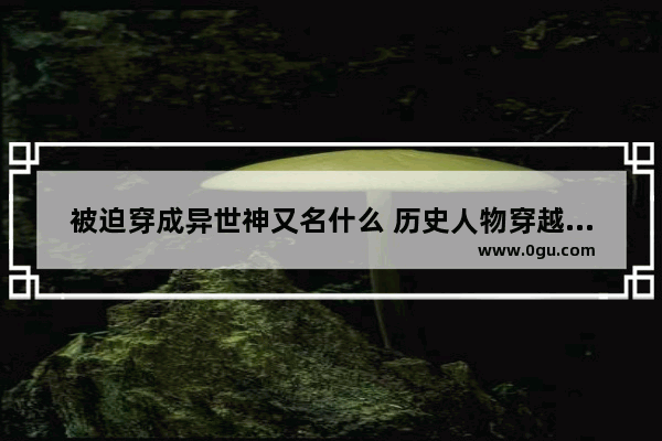 被迫穿成异世神又名什么 历史人物穿越到异世界