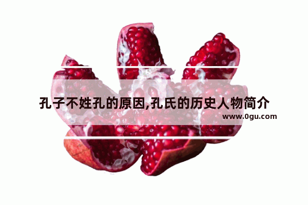 孔子不姓孔的原因,孔氏的历史人物简介