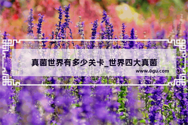 真菌世界有多少关卡_世界四大真菌