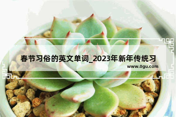 春节习俗的英文单词_2023年新年传统习俗 英文