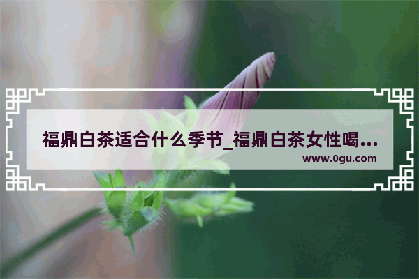 福鼎白茶适合什么季节_福鼎白茶女性喝有什么好处