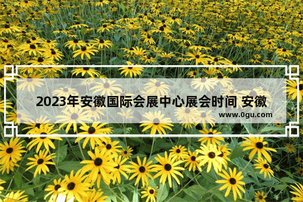 2023年安徽国际会展中心展会时间 安徽会展历史文化