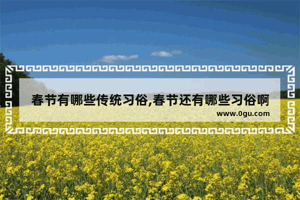 春节有哪些传统习俗,春节还有哪些习俗啊