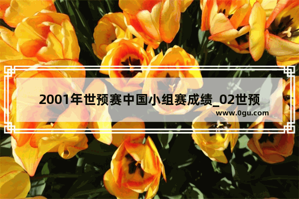 2001年世预赛中国小组赛成绩_02世预赛国足进球纪录