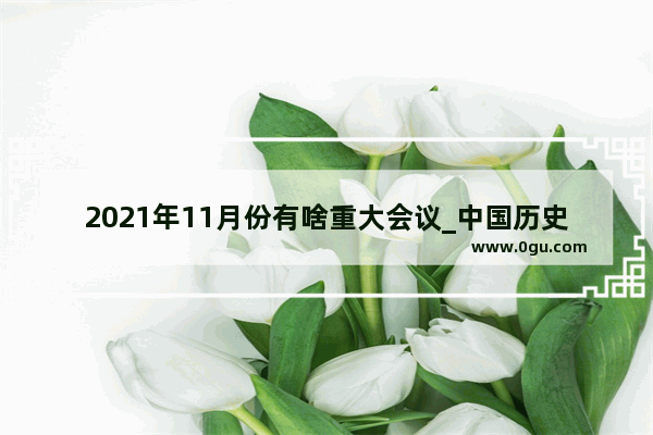 2021年11月份有啥重大会议_中国历史2月11日大事