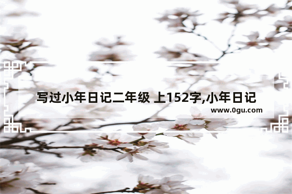 写过小年日记二年级 上152字,小年日记200字习俗