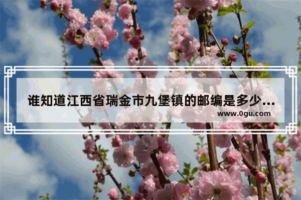 谁知道江西省瑞金市九堡镇的邮编是多少,瑞金市九堡历史文化