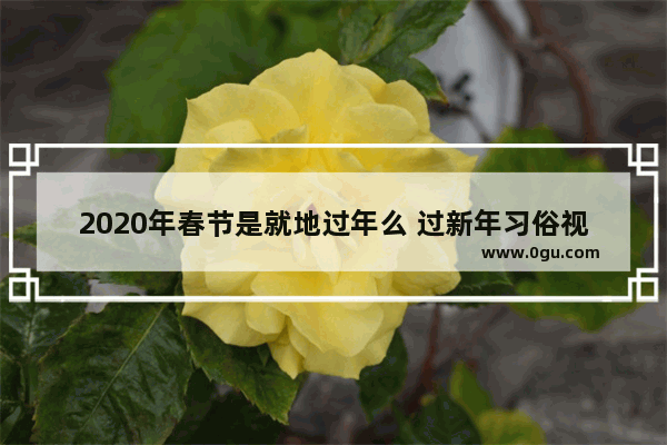 2020年春节是就地过年么 过新年习俗视频2020