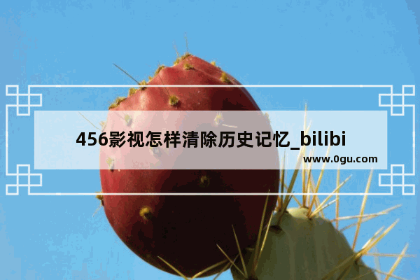 456影视怎样清除历史记忆_bilibili怎么查所有活动历史记录