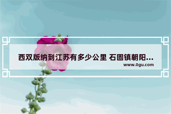 西双版纳到江苏有多少公里 石固镇朝阳村历史故事