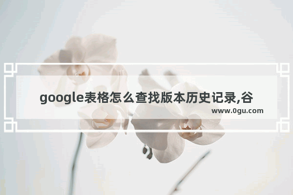 google表格怎么查找版本历史记录,谷歌能搜索中国历史吗嘛