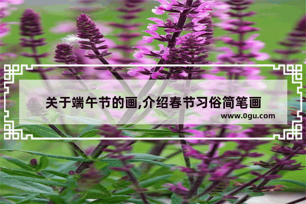 关于端午节的画,介绍春节习俗简笔画