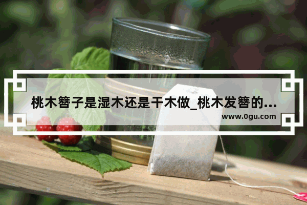 桃木簪子是湿木还是干木做_桃木发簪的寓意