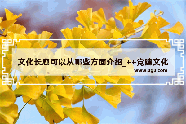 文化长廊可以从哪些方面介绍_++党建文化长廊氛围营造方案