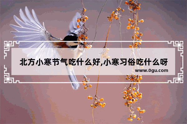 北方小寒节气吃什么好,小寒习俗吃什么呀