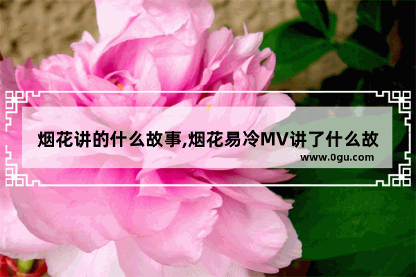 烟花讲的什么故事,烟花易冷MV讲了什么故事