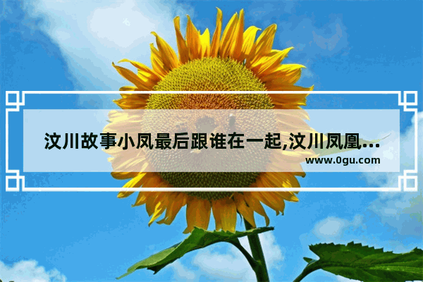 汶川故事小凤最后跟谁在一起,汶川凤凰村真实历史故事