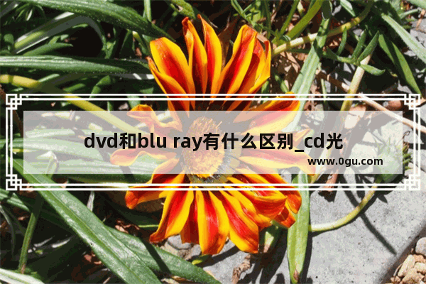 dvd和blu ray有什么区别_cd光盘历史