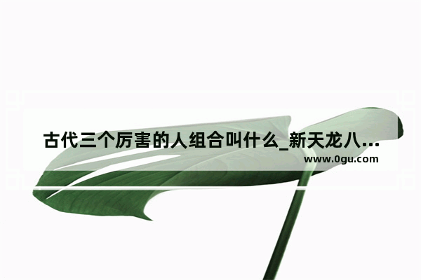 古代三个厉害的人组合叫什么_新天龙八部最佳三人组合