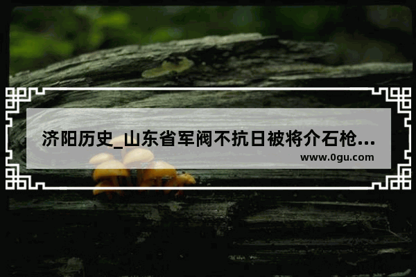 济阳历史_山东省军阀不抗日被将介石枪杀的是谁