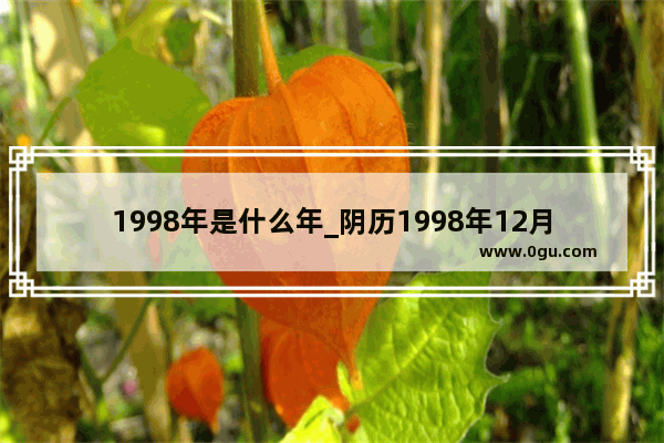 1998年是什么年_阴历1998年12月27立春没有过年算属啥的