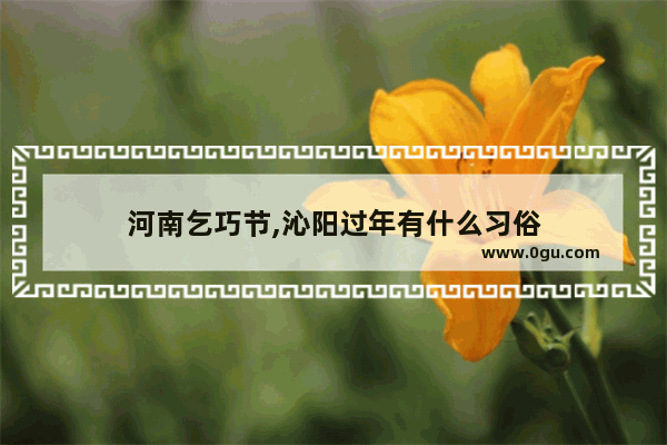 河南乞巧节,沁阳过年有什么习俗