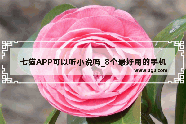 七猫APP可以听小说吗_8个最好用的手机App有哪些推荐？绝对不套路