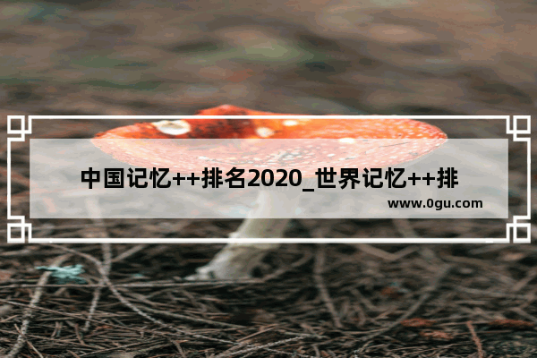 中国记忆++排名2020_世界记忆++排名前十