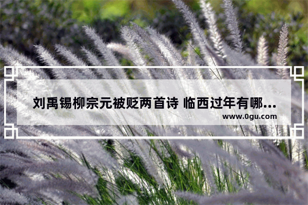 刘禹锡柳宗元被贬两首诗 临西过年有哪些习俗