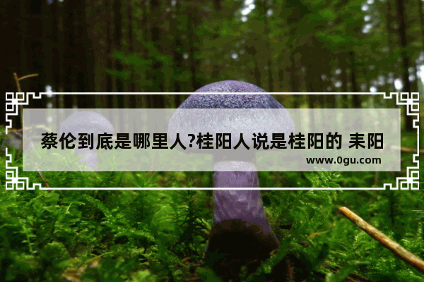 蔡伦到底是哪里人?桂阳人说是桂阳的 耒阳人说是耒阳,汝城县古代历史人物