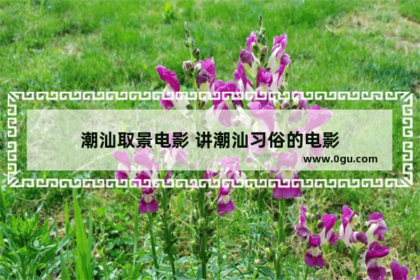 潮汕取景电影 讲潮汕习俗的电影