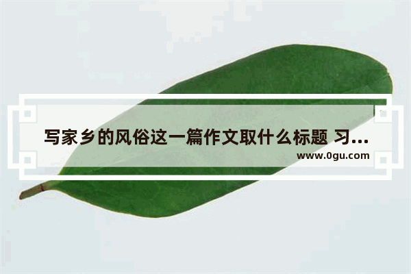 写家乡的风俗这一篇作文取什么标题 习俗文化三百字