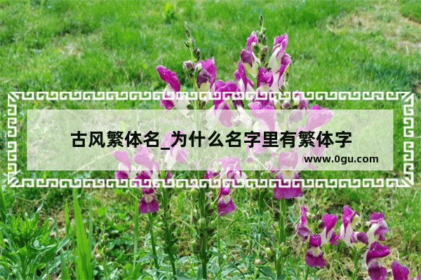 古风繁体名_为什么名字里有繁体字