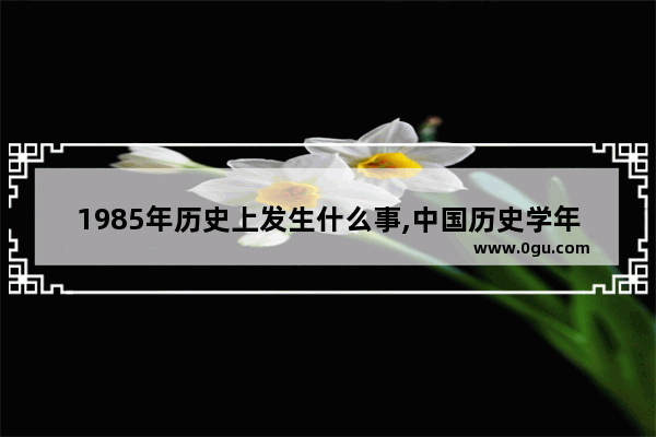 1985年历史上发生什么事,中国历史学年鉴1985