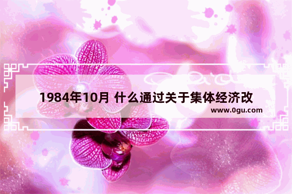 1984年10月 什么通过关于集体经济改革的决策_组织行为学集体决策通常有哪六种方式