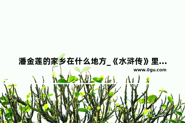 潘金莲的家乡在什么地方_《水浒传》里面潘金莲是什么身世啊 为什么会嫁给武大郎啊