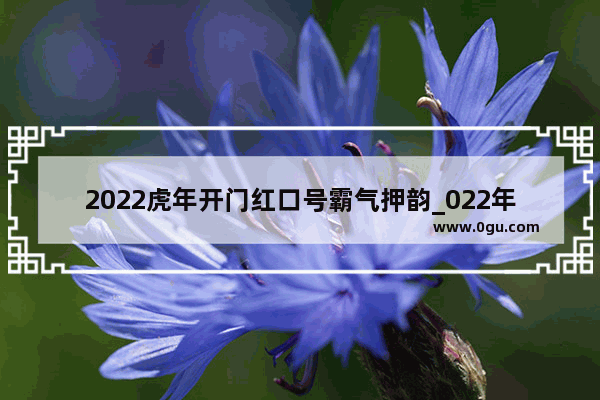 2022虎年开门红口号霸气押韵_022年是虎年吗